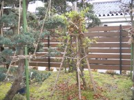 植栽と合う　人工木材　Ｂフェンス　福井市